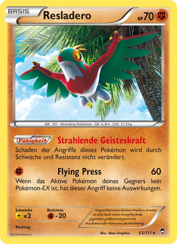 Resladero Fliegende Fäuste 63/111