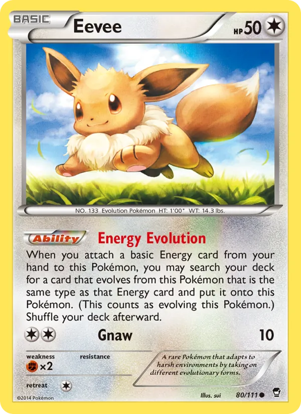 Eevee Furious Fists 80/111