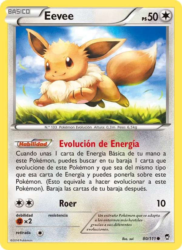 Eevee Puños Furiosos 80/111