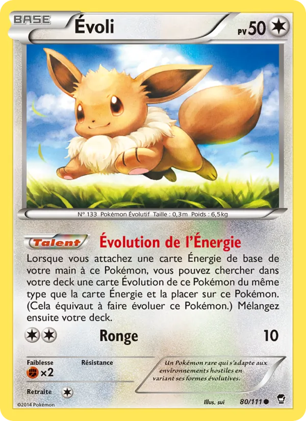 Évoli Poings Furieux 80/111