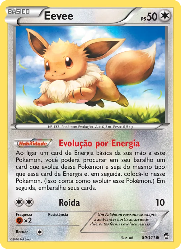 Eevee Punhos Furiosos 80/111