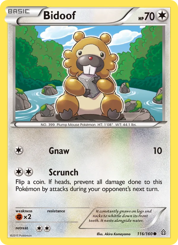 Bidoof Primal Clash 116/160