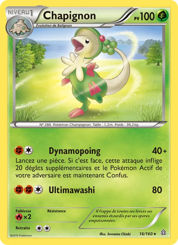 Chapignon Primo-Choc 16/160
