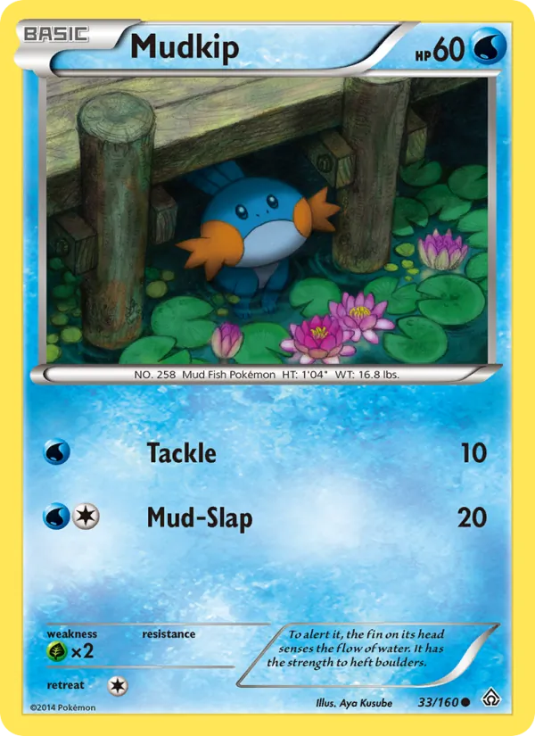 Mudkip Primal Clash 33/160