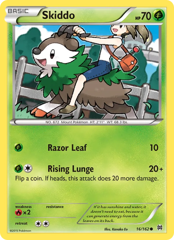 Skiddo BREAKthrough 16/162
