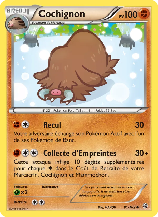 Cochignon Impulsion Turbo 81/162