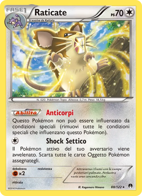 Raticate Turbo Crash 88/122