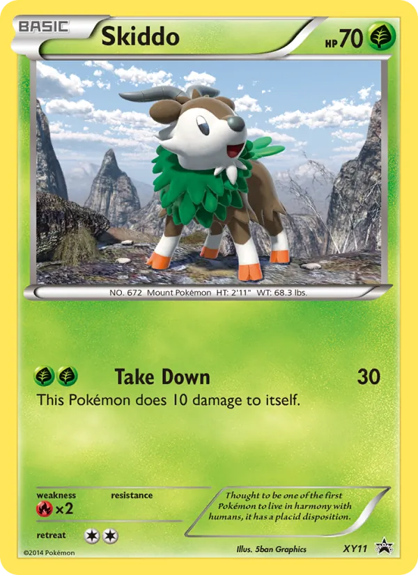 Skiddo XY Black Star Promos XY11/211