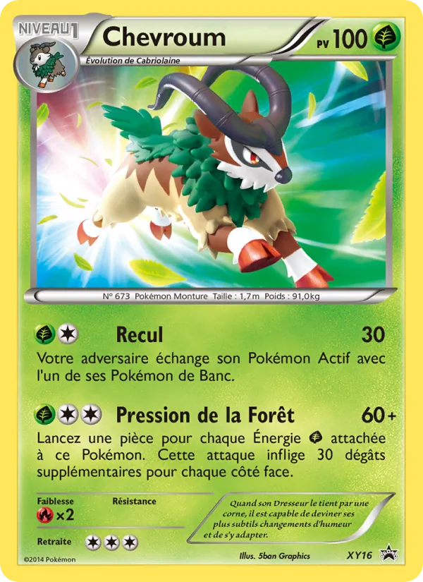 Chevroum Promo XY XY16/211