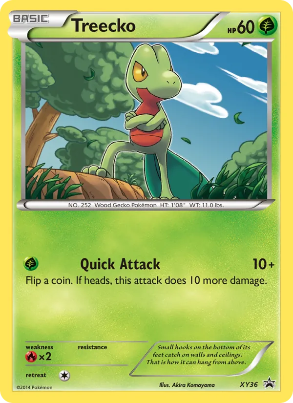 Treecko XY Cartas de promoción XY36/211