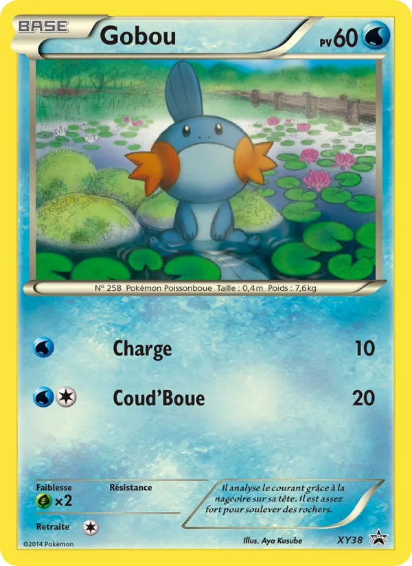 Gobou Promo XY XY38/211