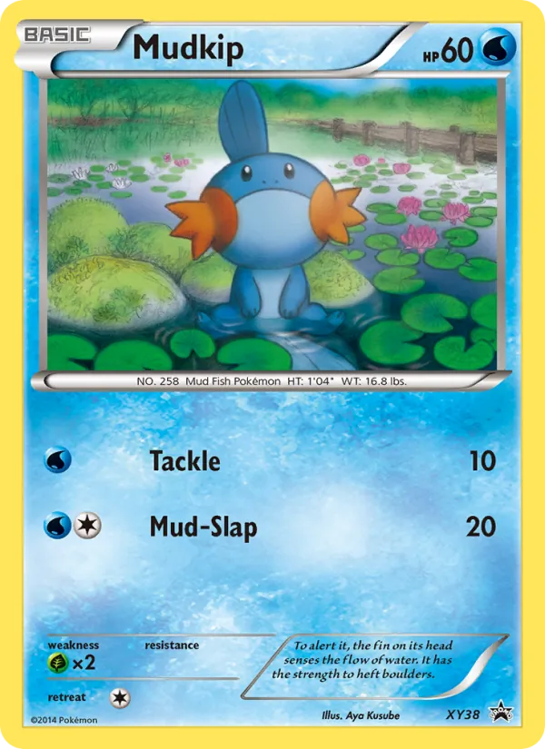 Mudkip XY Promo XY38/211