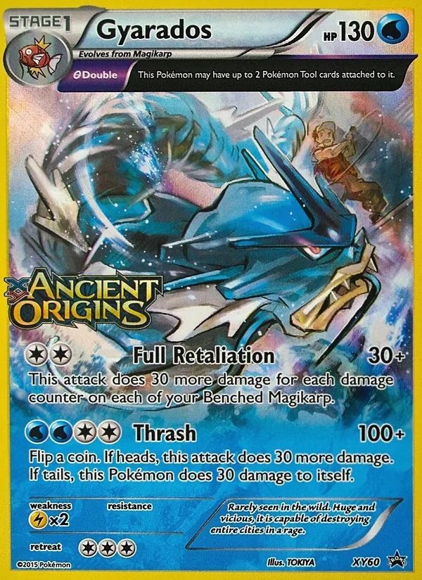 Gyarados XY Black Star Promos XY60/211